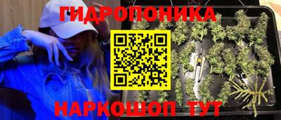 apvp Будённовск